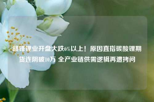 赣锋锂业开盘大跌6%以上!原因直指碳酸锂期货连阴破10万 全产业链供需逻辑再遭拷问