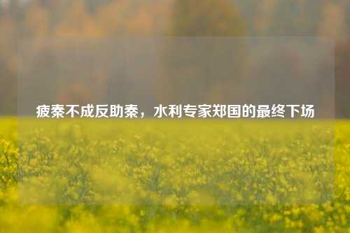 疲秦不成反助秦，水利专家郑国的最终下场