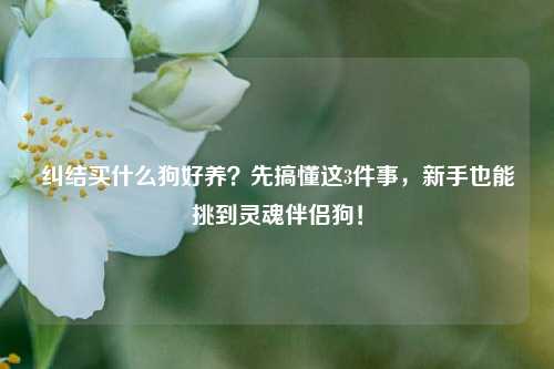 纠结买什么狗好养？先搞懂这3件事，新手也能挑到灵魂伴侣狗！
