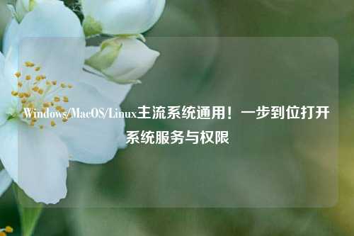 Windows/MacOS/Linux主流系统通用!一步到位打开系统服务与权限