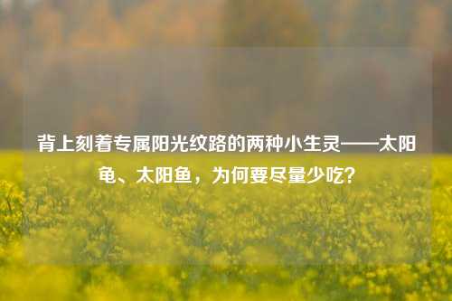 背上刻着专属阳光纹路的两种小生灵——太阳龟、太阳鱼,为何要尽量少吃?