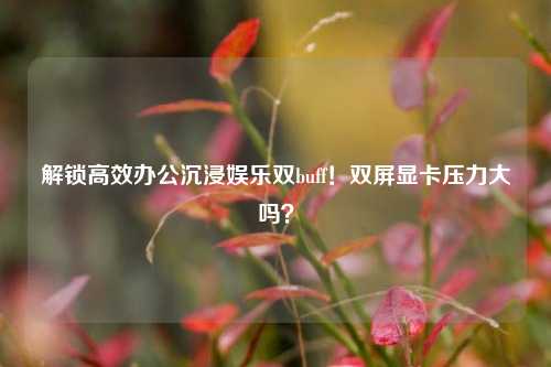 解锁高效办公沉浸娱乐双buff!双屏显卡压力大吗?