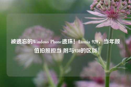 被遗忘的Windows Phone遗珠！Lumia 929，当年颜值拍照担当 附与930的区别