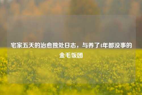 宅家五天的治愈独处日志，与养了4年都没事的金毛饭团