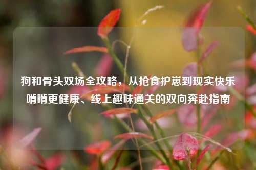 狗和骨头双场全攻略，从抢食护崽到现实快乐啃啃更健康、线上趣味通关的双向奔赴指南