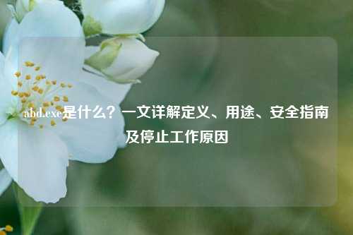 abd.exe是什么？一文详解定义、用途、安全指南及停止工作原因