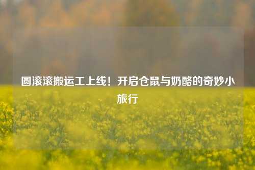 圆滚滚搬运工上线！开启仓鼠与奶酪的奇妙小旅行