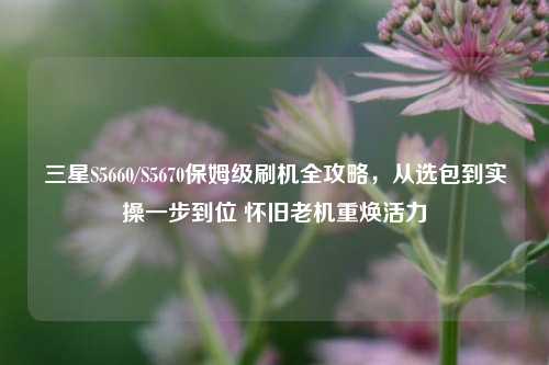 三星S5660/S5670保姆级刷机全攻略，从选包到实操一步到位 怀旧老机重焕活力