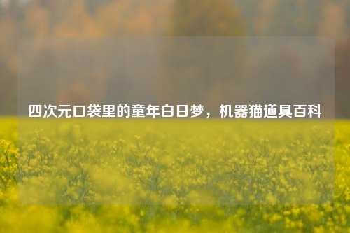 四次元口袋里的童年白日梦,机器猫道具百科