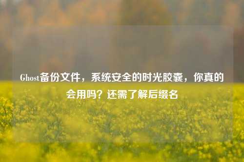 Ghost备份文件，系统安全的时光胶囊，你真的会用吗？还需了解后缀名