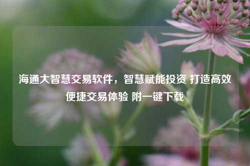 海通大智慧交易软件,智慧赋能投资 打造高效便捷交易体验 附一键下载