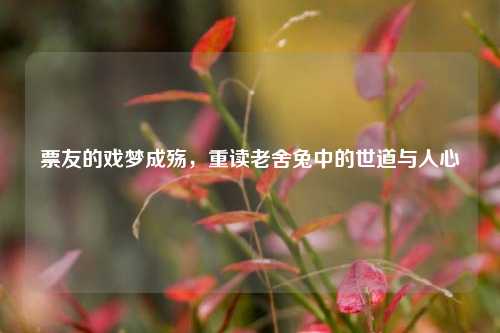 票友的戏梦成殇,重读老舍兔中的世道与人心