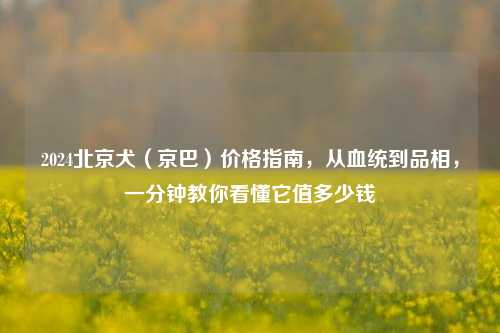 2024北京犬(京巴)价格指南,从血统到品相,一分钟教你看懂它值多少钱