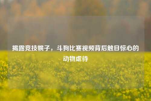 揭露竞技幌子,斗狗比赛视频背后触目惊心的动物虐待