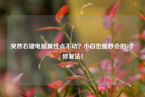 突然右键电脑属性点不动?小白也能秒会的5个修复法!