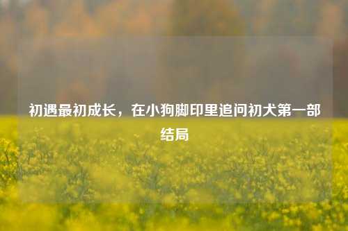 初遇最初成长,在小狗脚印里追问初犬第一部结局