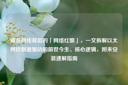 藏在网线背后的「网络红娘」，一文拆解以太网控制器驱动的前世今生、核心逻辑，附未安装速解指南