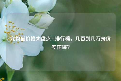 宠物猫价格大盘点+排行榜，几百到几万身价差在哪？