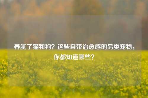 养腻了猫和狗？这些自带治愈感的另类宠物，你都知道哪些？