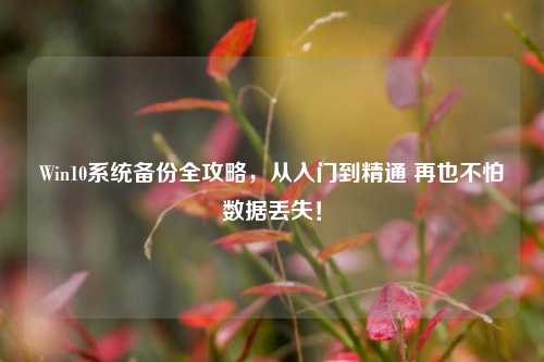 Win10系统备份全攻略，从入门到精通 再也不怕数据丢失！