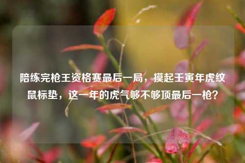 陪练完枪王资格赛最后一局,摸起壬寅年虎纹鼠标垫,这一年的虎气够不够顶最后一枪?