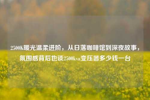 2500K暖光温柔进阶,从日落咖啡馆到深夜故事,氛围感背后也谈2500kva变压器多少钱一台