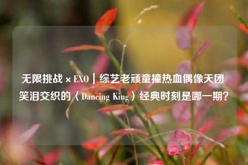 无限挑战×EXO｜综艺老顽童撞热血偶像天团 笑泪交织的〈Dancing King〉经典时刻是哪一期？
