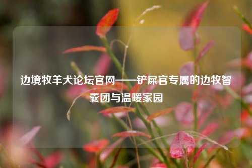 边境牧羊犬论坛官网——铲屎官专属的边牧智囊团与温暖家园