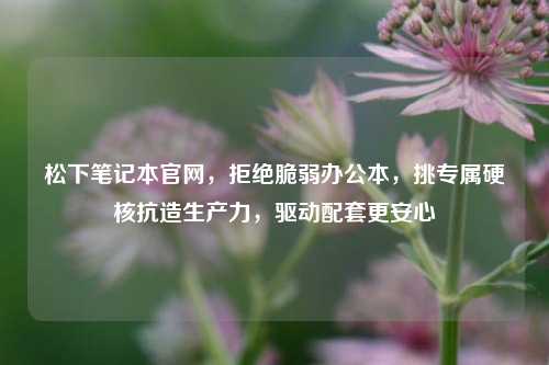 松下笔记本官网,拒绝脆弱办公本,挑专属硬核抗造生产力,驱动配套更安心