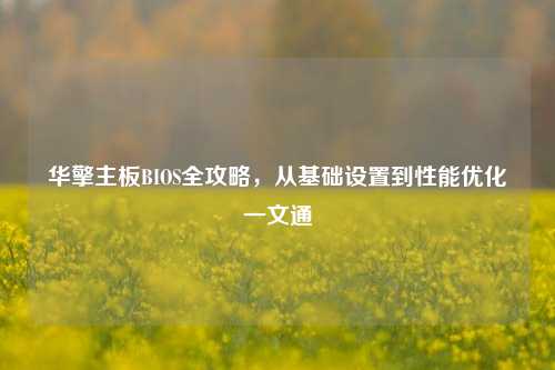 华擎主板BIOS全攻略，从基础设置到性能优化一文通