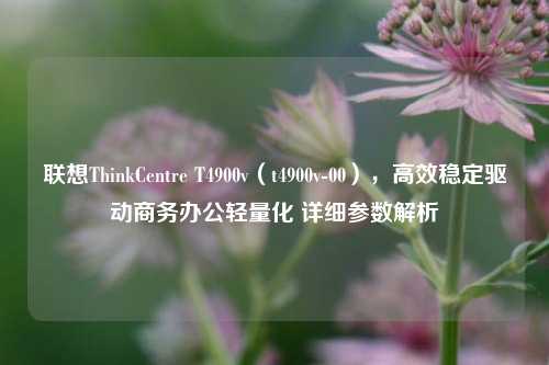 联想ThinkCentre T4900v（t4900v-00），高效稳定驱动商务办公轻量化 详细参数解析