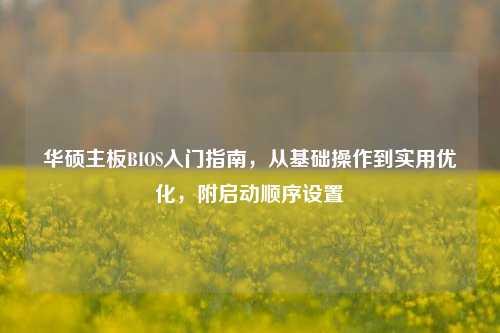 华硕主板BIOS入门指南,从基础操作到实用优化,附启动顺序设置