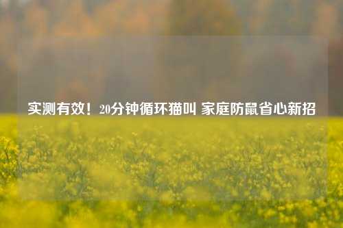 实测有效!20分钟循环猫叫 家庭防鼠省心新招
