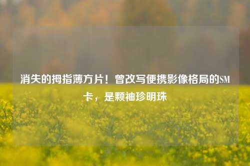 消失的拇指薄方片!曾改写便携影像格局的SM卡,是颗袖珍明珠