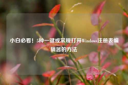 小白必看！5种一键或常规打开Windows注册表编辑器的方法