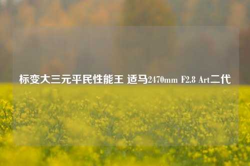 标变大三元平民性能王 适马2470mm F2.8 Art二代