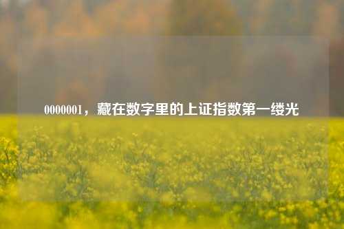 0000001,藏在数字里的上证指数第一缕光