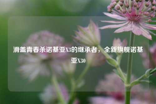 滑盖青春杀诺基亚X3的继承者,全新旗舰诺基亚X30