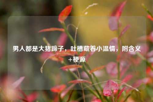 男人都是大猪蹄子,吐槽藏着小温情,附含义+梗源