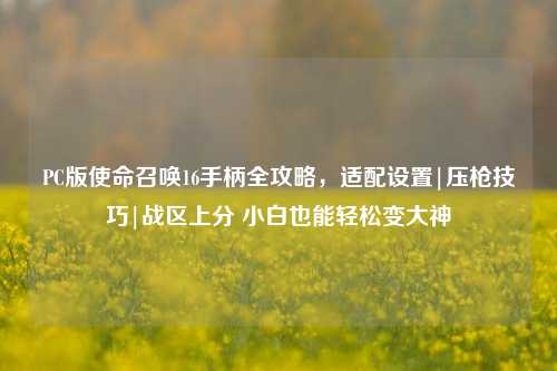 PC版使命召唤16手柄全攻略,适配设置|压枪技巧|战区上分 小白也能轻松变大神