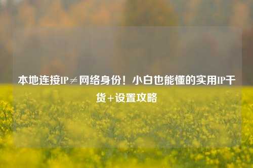 本地连接IP≠网络身份!小白也能懂的实用IP干货+设置攻略