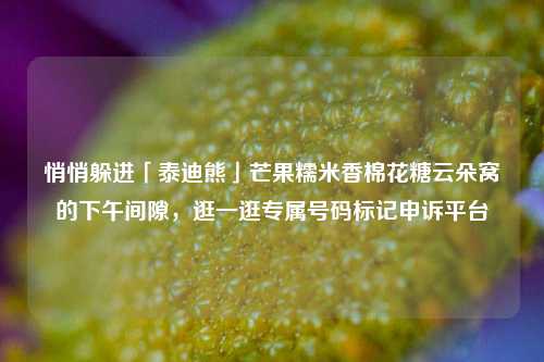 悄悄躲进「泰迪熊」芒果糯米香棉花糖云朵窝的下午间隙,逛一逛专属号码标记申诉平台