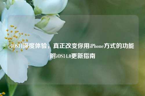 iOS14深度体验,真正改变你用iPhone方式的功能附iOS14.0更新指南