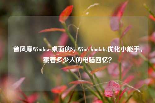 曾风靡Windows桌面的SysWin6 hbolabs优化小能手,藏着多少人的电脑回忆?