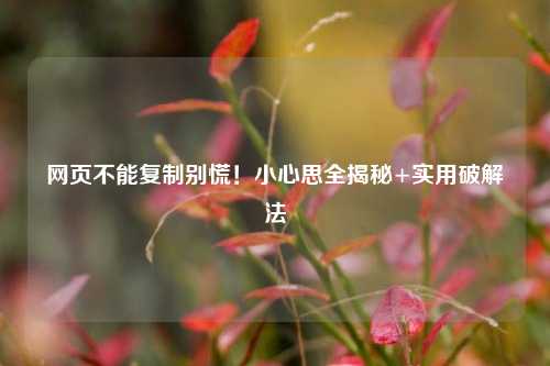 网页不能复制别慌!小心思全揭秘+实用破解法