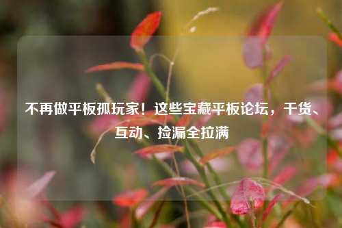 不再做平板孤玩家!这些宝藏平板论坛,干货、互动、捡漏全拉满