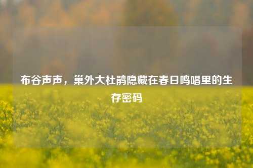 布谷声声，巢外大杜鹃隐藏在春日鸣唱里的生存密码