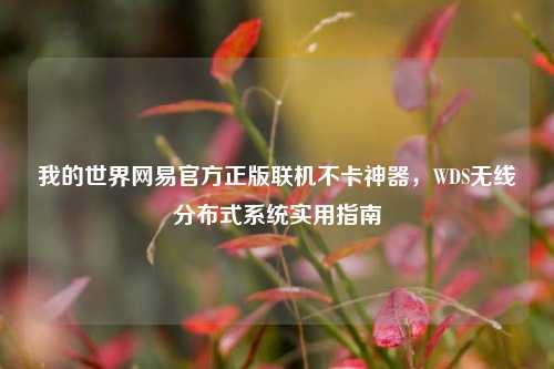 我的世界网易官方正版联机不卡神器,WDS无线分布式系统实用指南