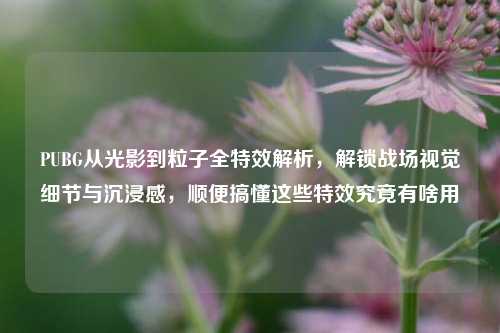 PUBG从光影到粒子全特效解析，解锁战场视觉细节与沉浸感，顺便搞懂这些特效究竟有啥用