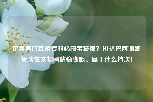 铲屎官口耳相传的必囤宝藏粮?扒扒巴西淘淘凭啥在宠物圈站稳脚跟、属于什么档次!